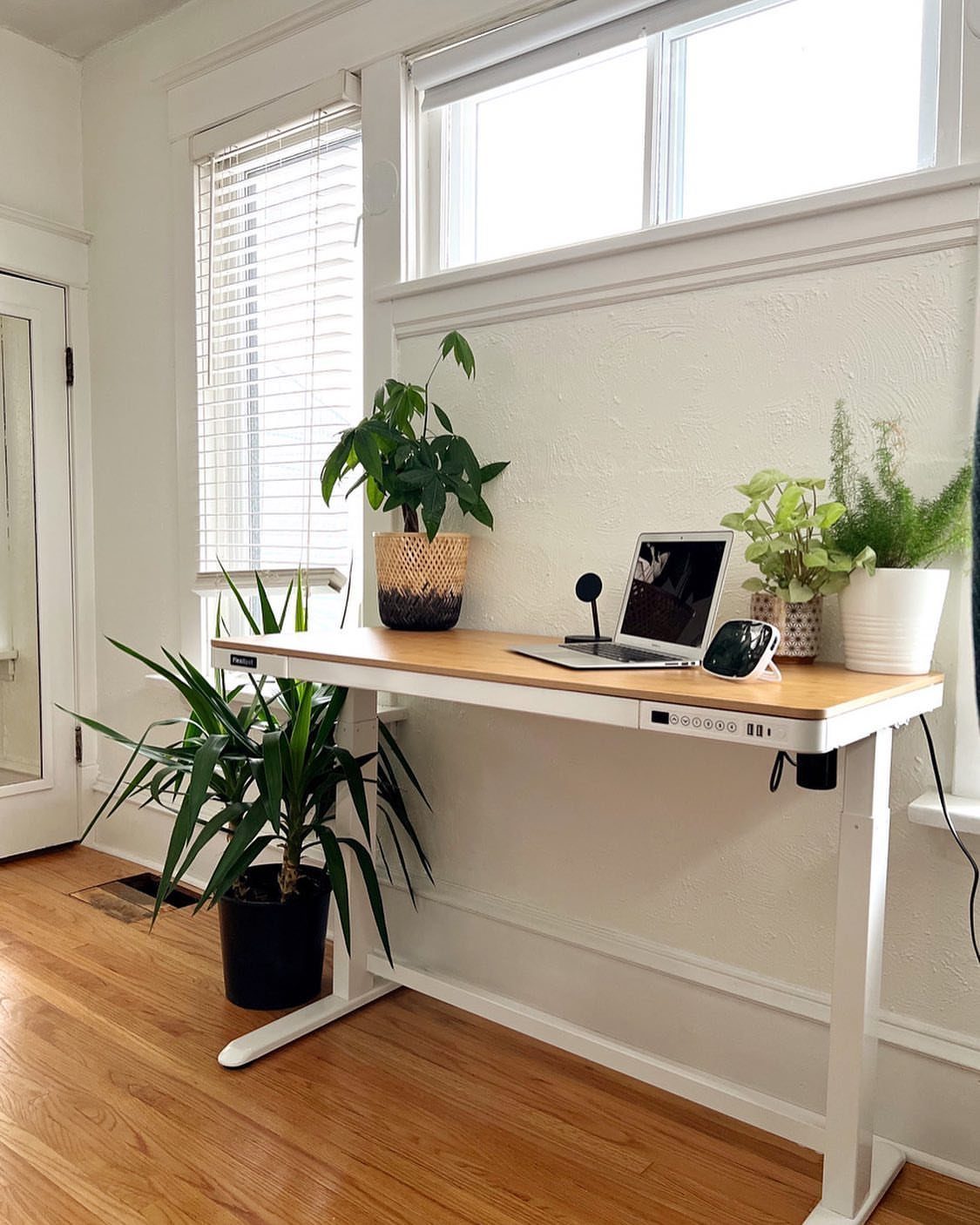 11 Christmas Gifts for Adults, From Waffle Makers to Desks 2 White electric standing desk with wooden top, laptop, and green potted plants.