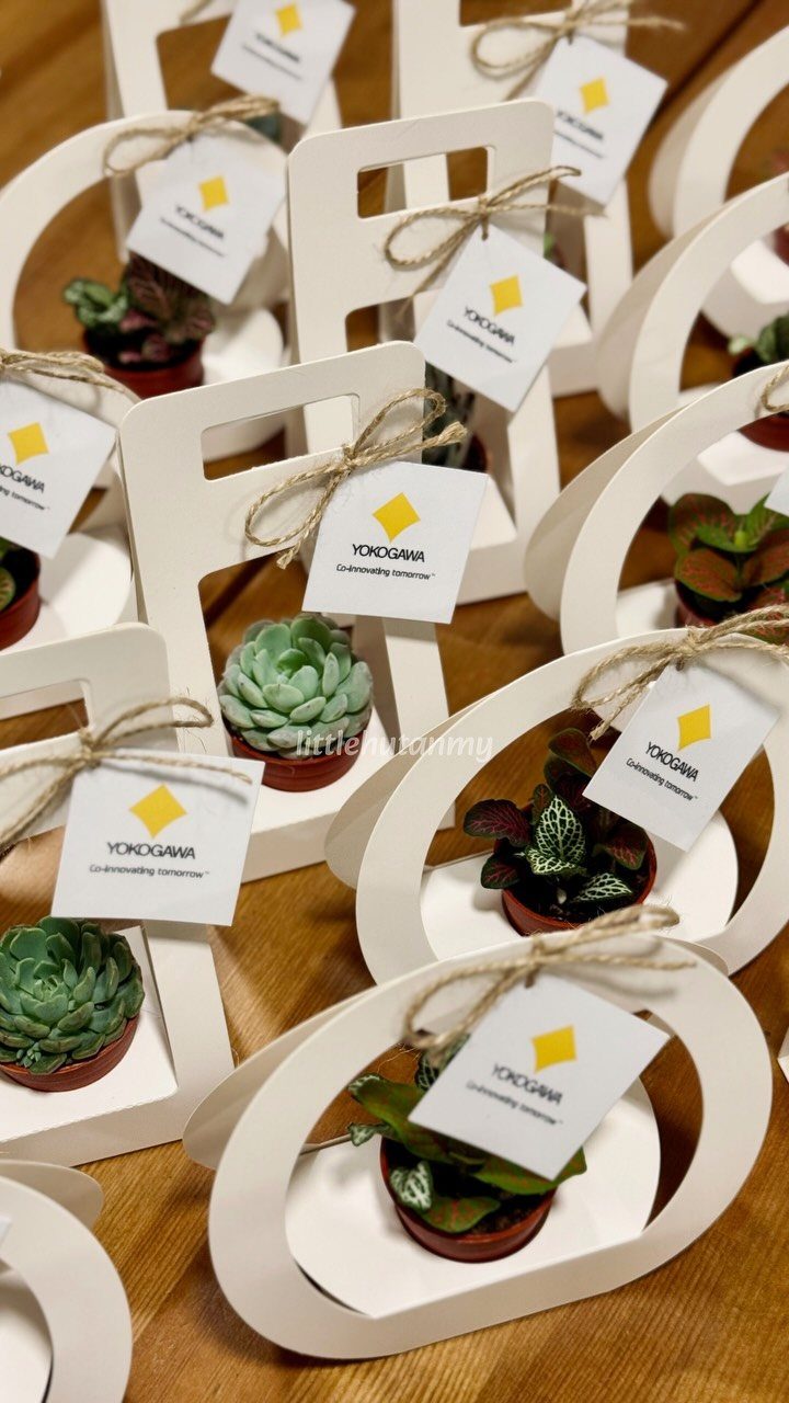 Small succulent plants in white cardboard frames with corporate gift tags on wood.