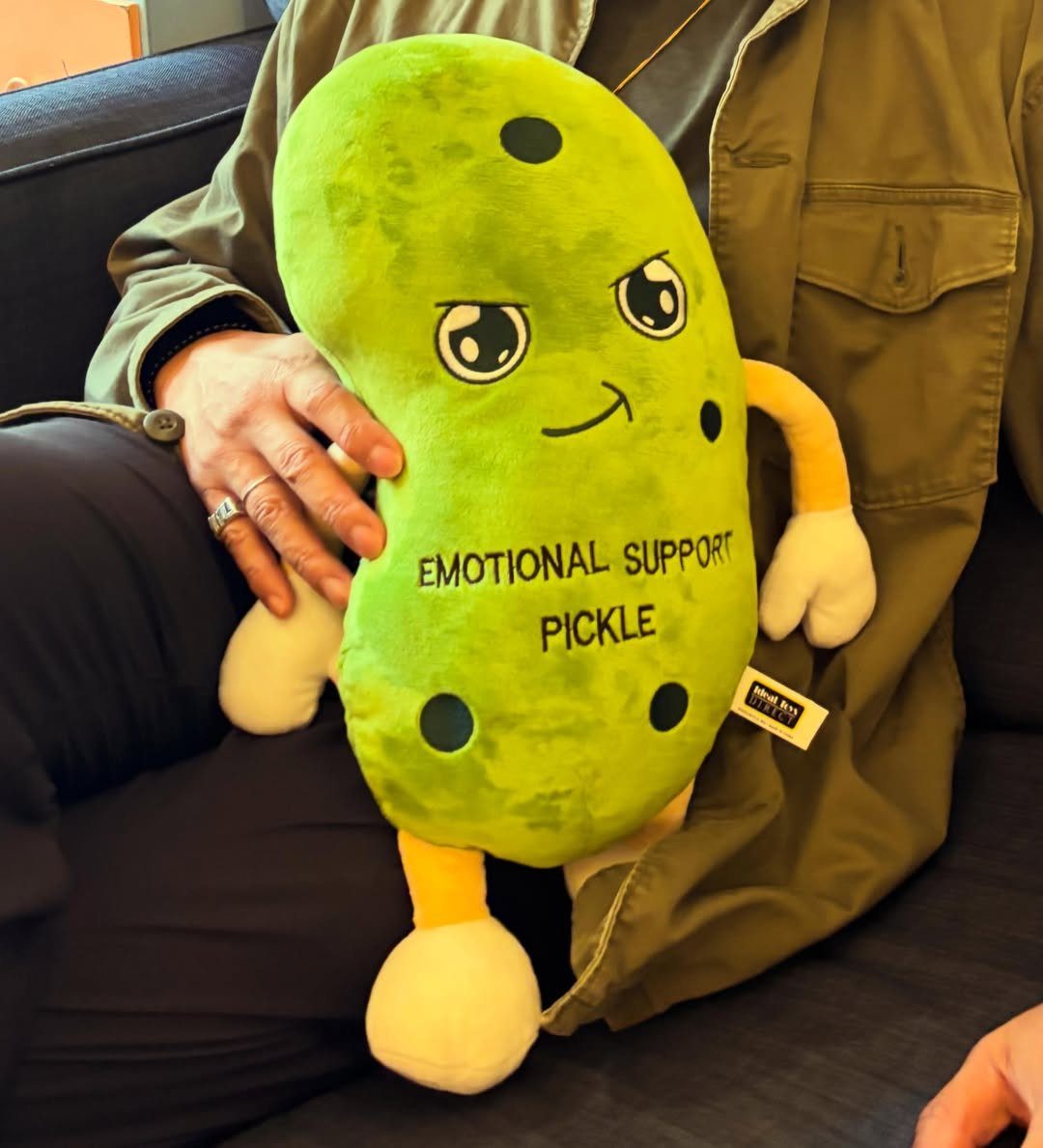 13 Funny Gag Gift Ideas for Birthdays and Office Parties 13 Person holding a green plush emotional support pickle with a funny face.