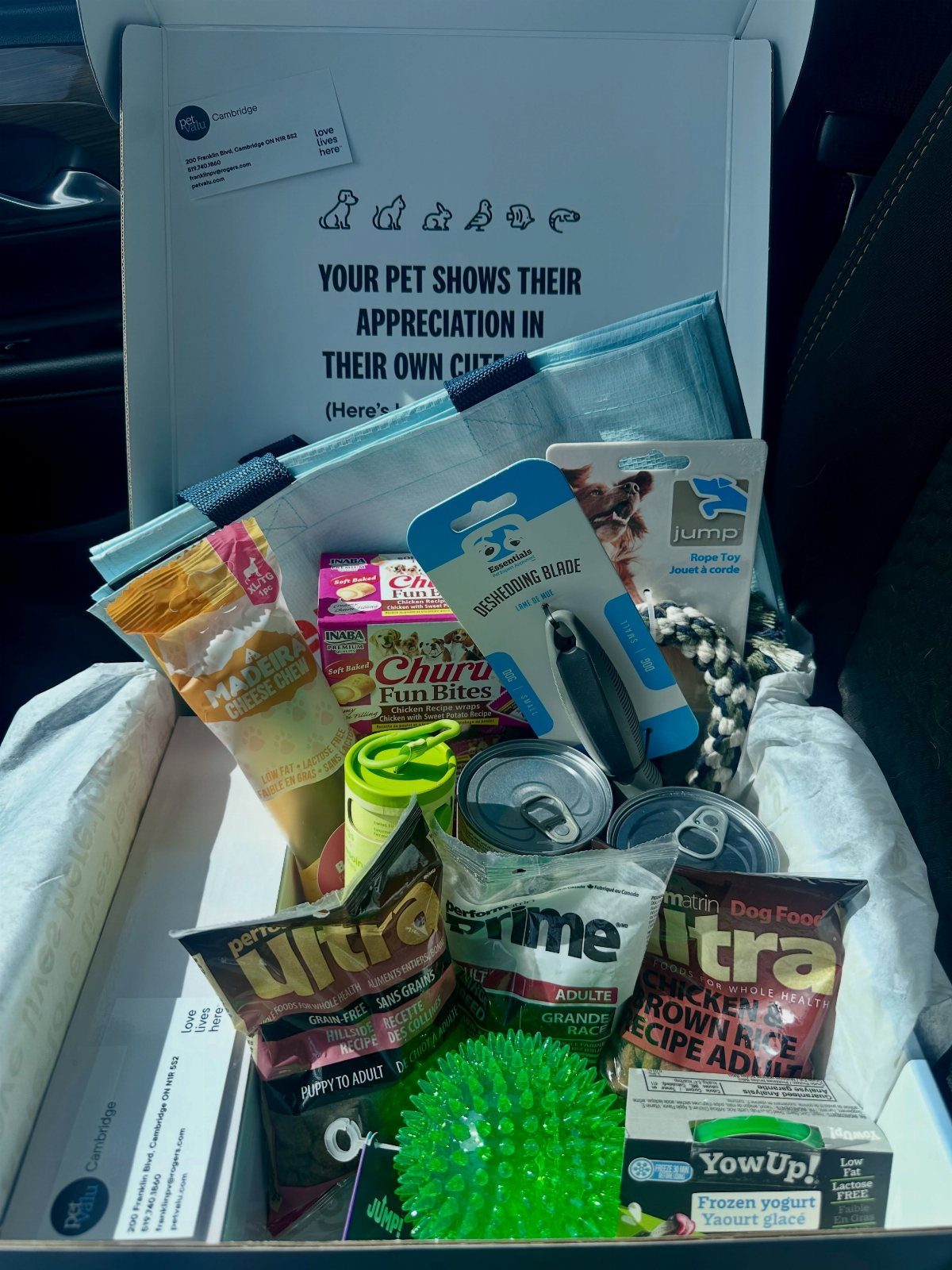 18 Gift Basket Prize Ideas for Raffles and Auctions 8 Pet gift basket with dog food, treats, and toys in a white box.