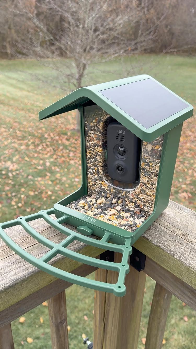 12 Good Gifts for Grandma She'll Actually Use and Treasure 7 Green solar-powered bird feeder with a built-in camera mounted on a wooden deck.