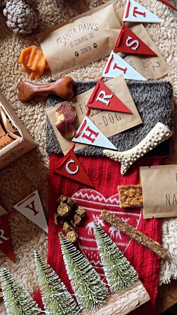 Dog treats and bone chews arranged on a red knitted Christmas stocking.