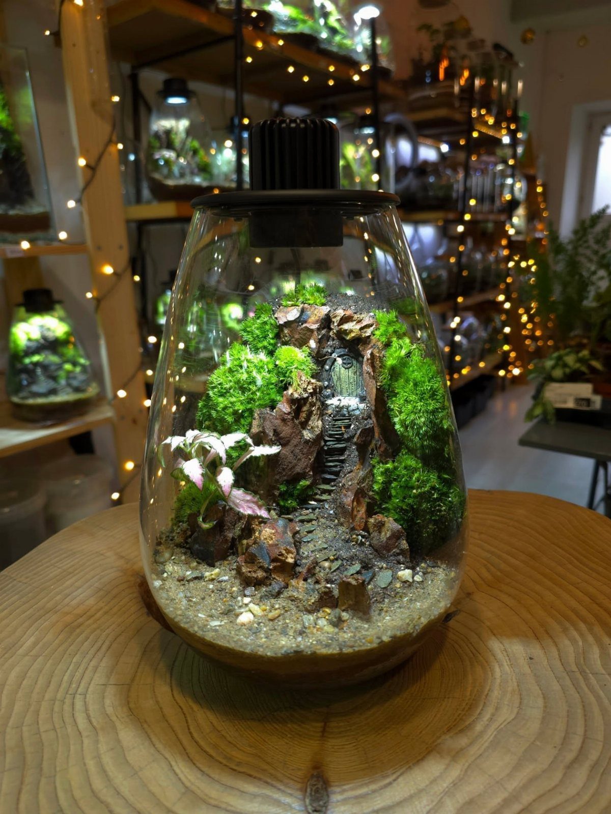 Glass terrarium with green moss, miniature stairs, and white flowers on wooden table