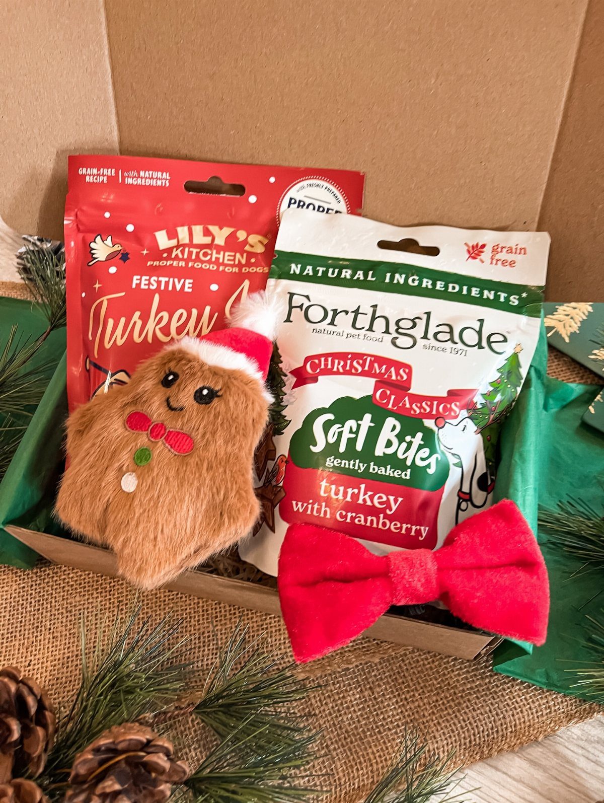14 Holiday Christmas Gifts for Kids, Couples and Coworkers 6 Dog treat gift box with plush toy and red bows for Christmas
