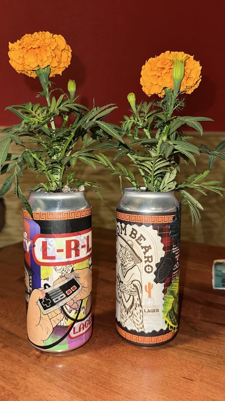 9 Homemade Father's Day Gifts Dad Will Actually Use 2 Orange marigold flowers growing in two colorful upcycled beer can planters on wood.