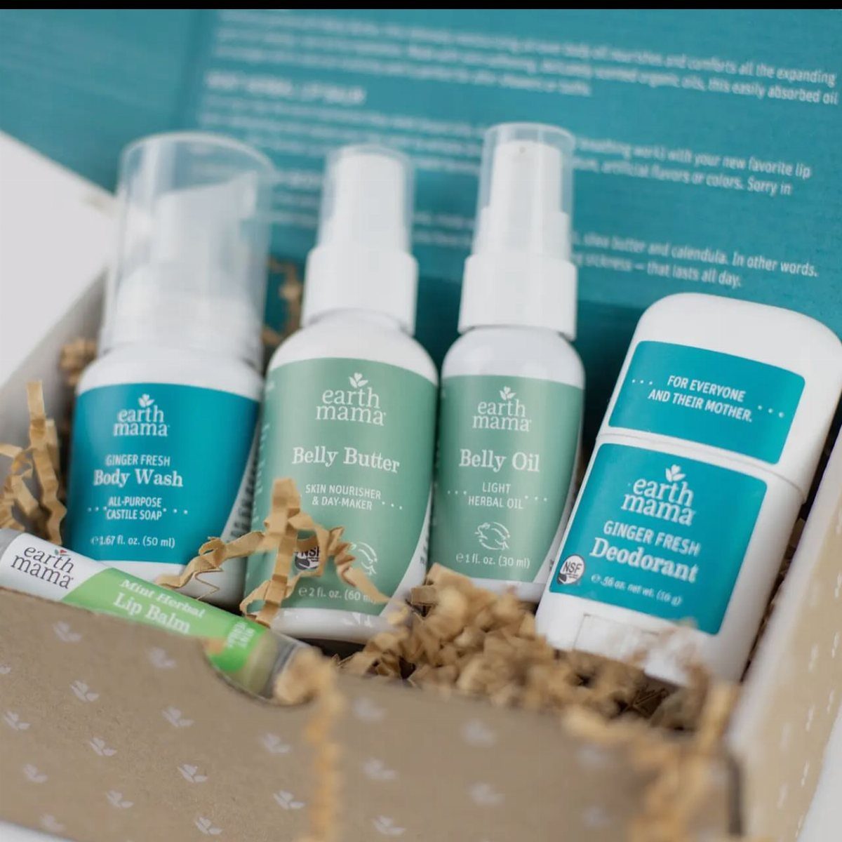 Postpartum Gift Basket Ideas for New Moms: 9 Picks 6 Earth Mama personal care products in a gift box with brown shredded paper.
