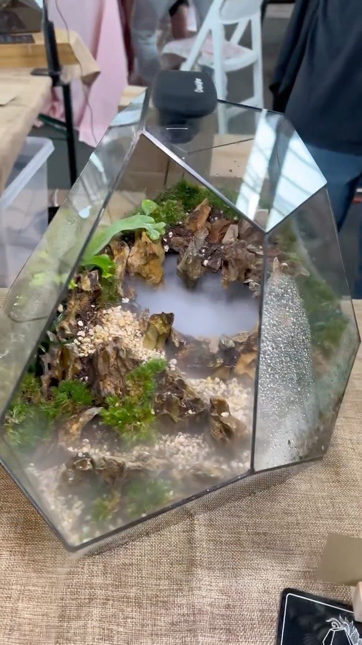 14 Small Unisex Gifts for Friends, Coworkers and Family 2 Geometric glass terrarium with green moss and bark on a burlap cloth