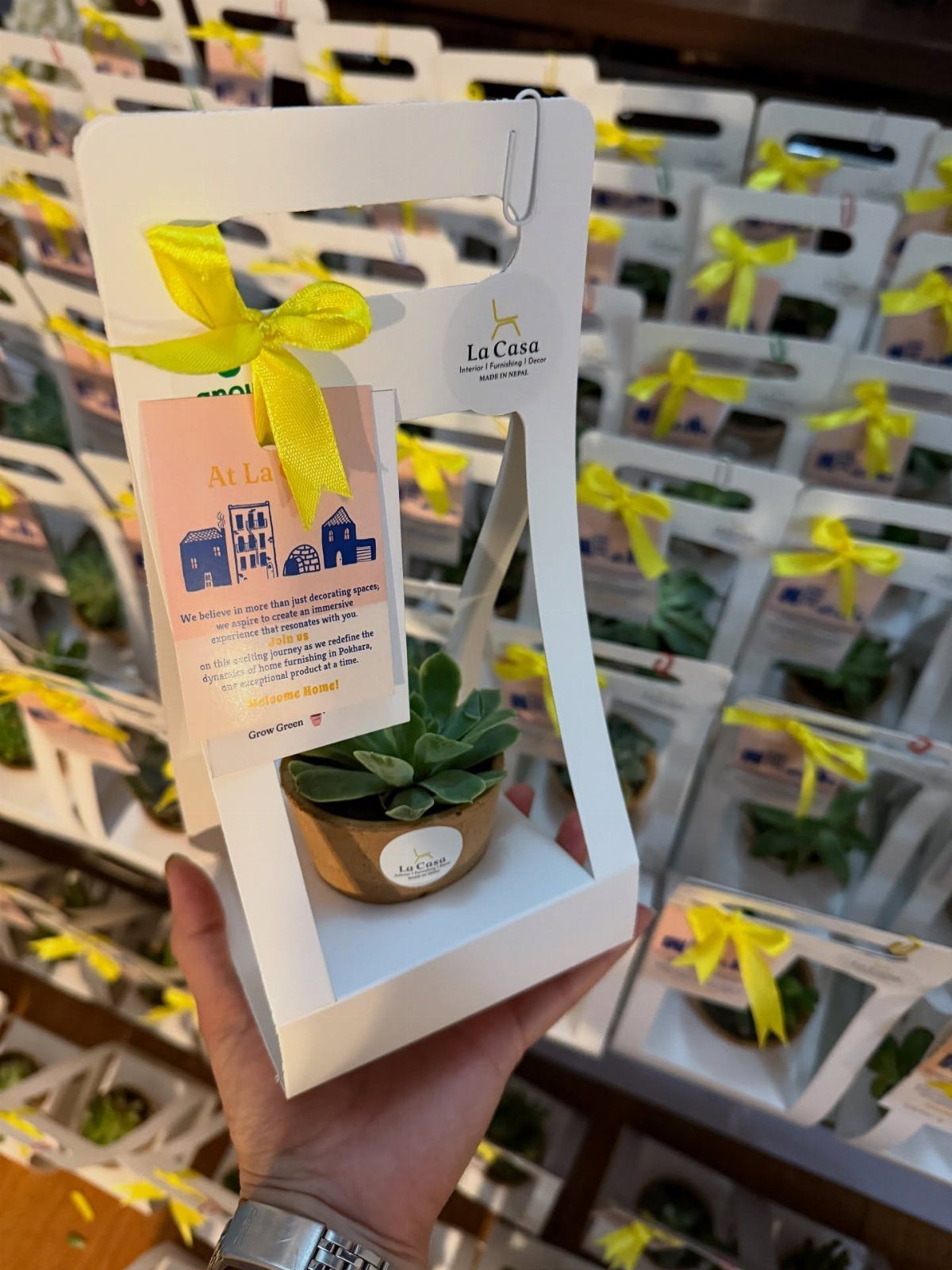 12 Thanksgiving Gifts for Coworkers They'll Actually Use 12 Small succulent in a gold pot with yellow ribbon in a white gift box