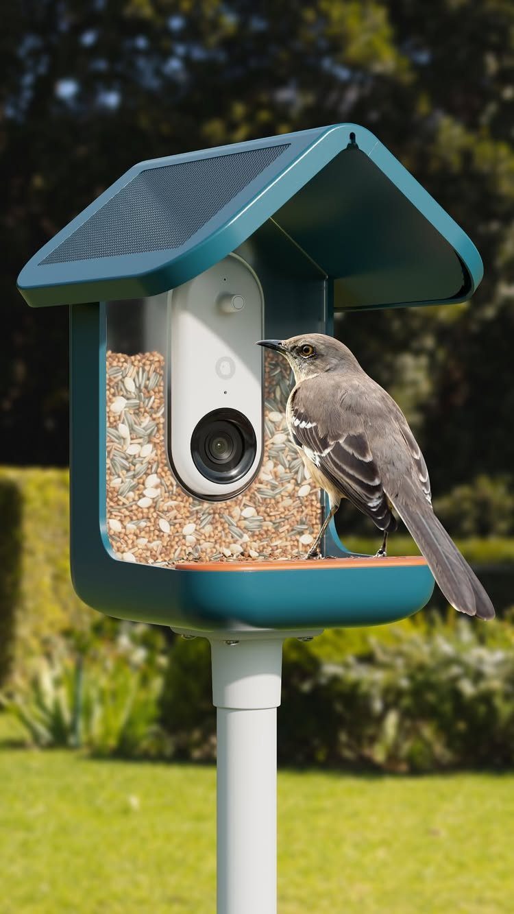 12 Useful Gifts for Dad: Practical Picks He'll Actually Use 4 Smart bird feeder with camera and solar panel with a bird perched on it