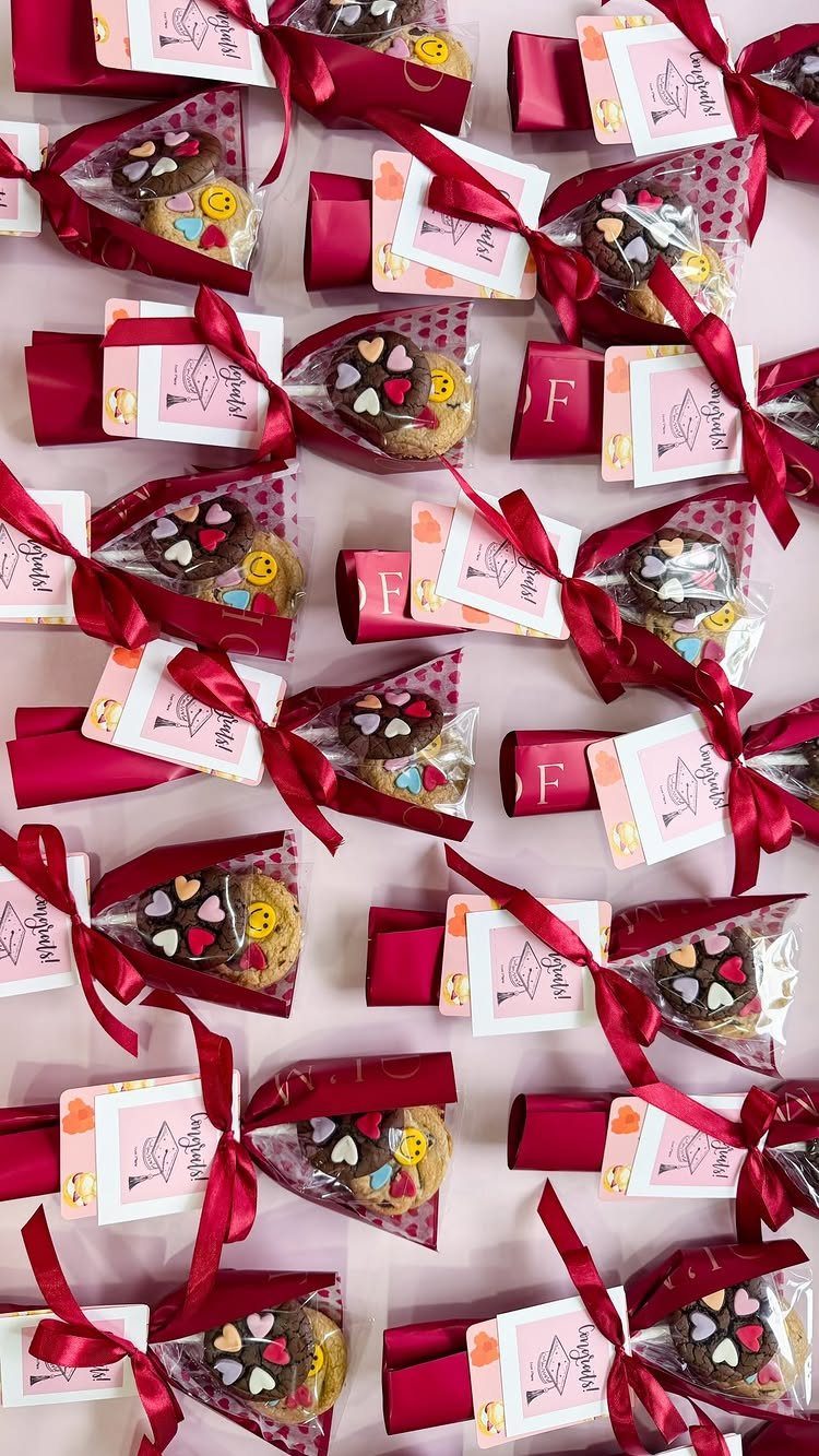 Decorated chocolate and vanilla cookies in clear bags tied with red ribbons.